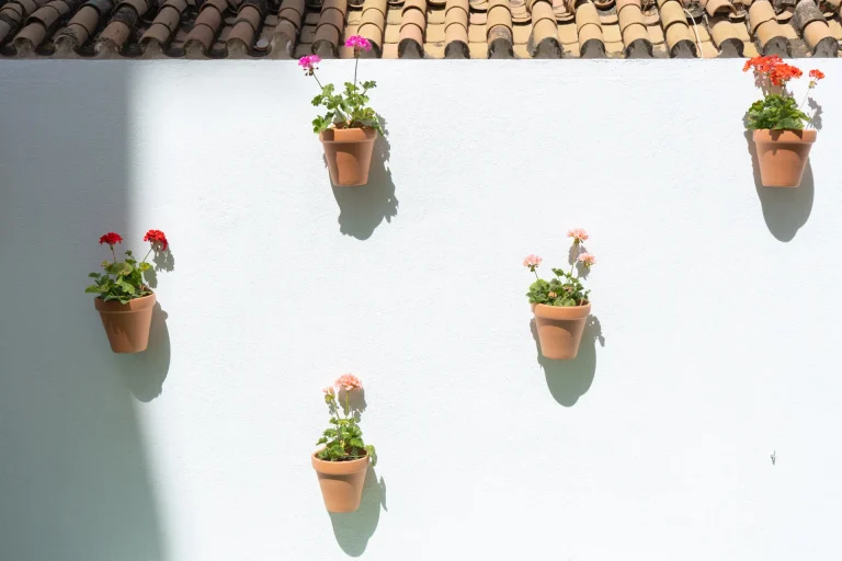 patio-casa